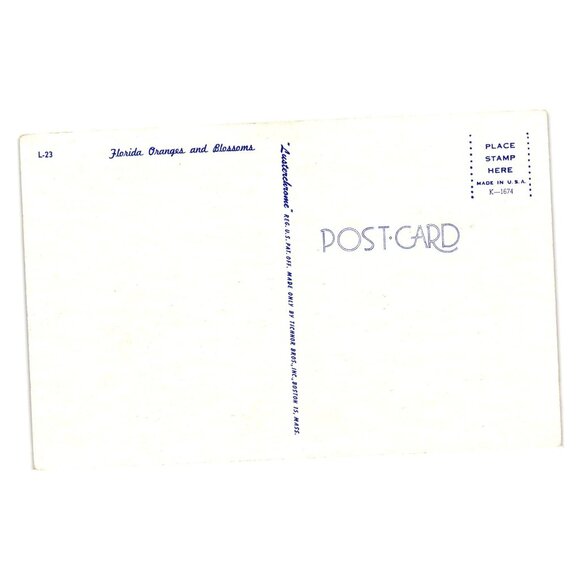 Florida Oranges And Blossoms Linen Postcard Vintage Tichnor Bros Made USA Unused - Picture 2 of 2